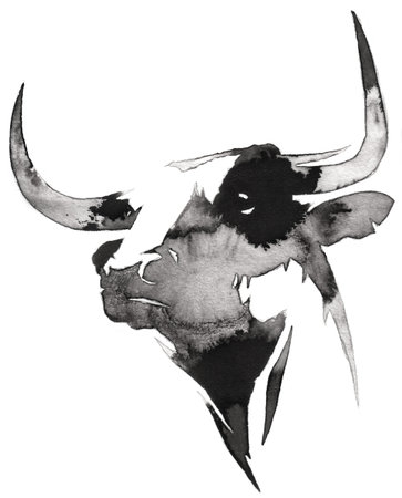 black and white painting with water and ink draw bull illustrationの写真素材