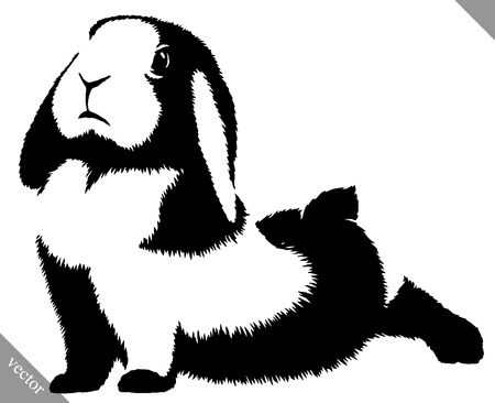 black and white linear draw rabbit vector illustrationのイラスト素材