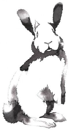 black and white monochrome painting with water and ink draw rabbit illustrationの写真素材