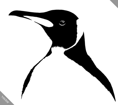 black and white linear paint draw penguin vector illustrationのイラスト素材