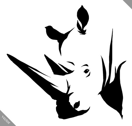 black and white linear paint draw rhino vector illustrationの写真素材