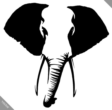 Black and white linear paint draw elephant illustrationのイラスト素材