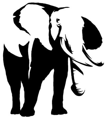 black and white linear paint draw elephant illustrationの写真素材