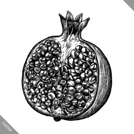 Engrave isolated pomegranate hand drawn graphic vector illustrationのイラスト素材