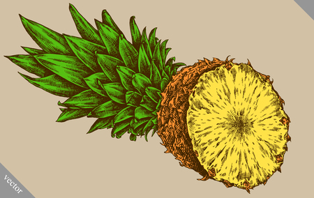 Engrave pineapple hand drawn graphic illustration artのイラスト素材