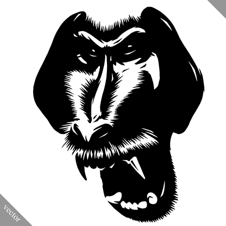 Black and white linear paint draw monkey vector illustration.のイラスト素材