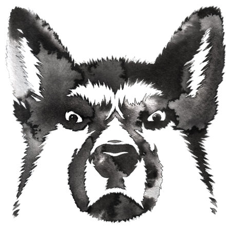 black and white monochrome painting with water and ink draw dog illustration
