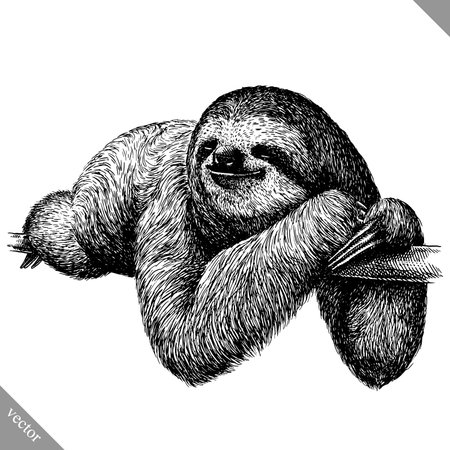 black and white engrave isolated sloth vector artのイラスト素材