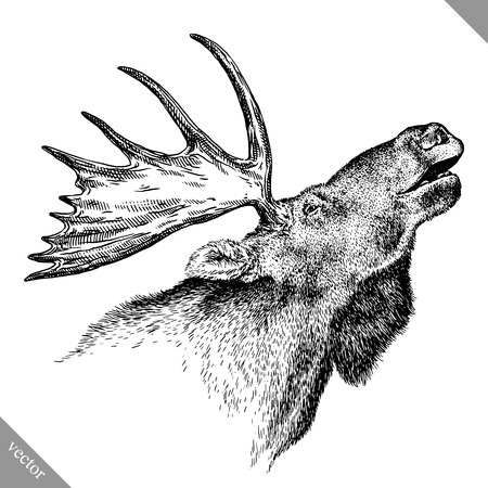 black and white engrave isolated elk hand draw vector illustration artのイラスト素材