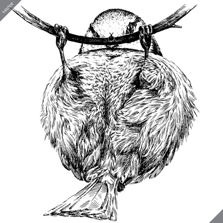 black and white engrave isolated tit vector artのイラスト素材