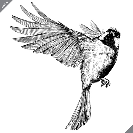 black and white engrave isolated tit vector art