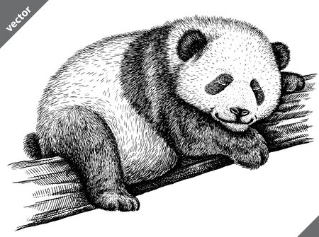 black and white engrave isolated panda vector illustrationのイラスト素材