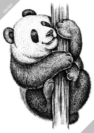 Black and white engrave isolated pandaのイラスト素材
