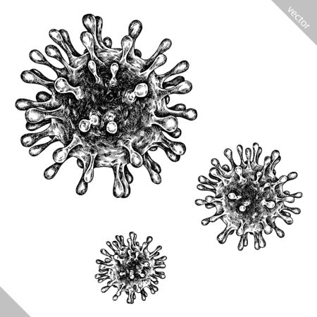 black and white engrave isolated coronavirus vector illustrationのイラスト素材