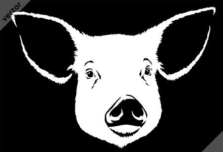 black and white linear paint draw pig vector illustration artのイラスト素材