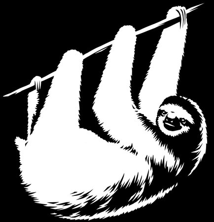 black and white linear paint draw sloth illustration artの写真素材