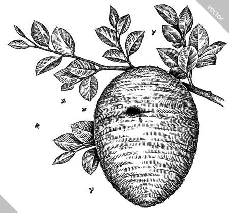 Engrave isolated beehive hand drawn graphic vector illustrationのイラスト素材
