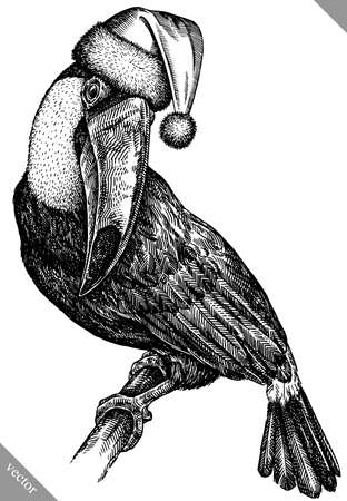 black and white engrave isolated toucan vector illustrationのイラスト素材