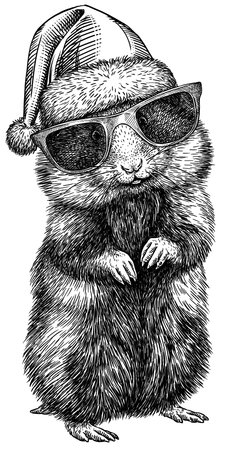 black and white engrave isolated hamster illustrationの写真素材