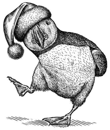 black and white engrave isolated puffin illustrationの写真素材