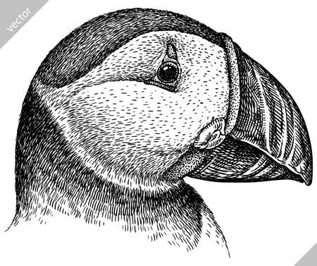 black and white engrave isolated puffin vector illustrationのイラスト素材