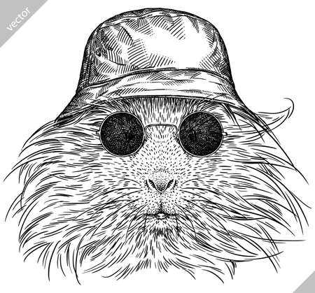 black and white engrave isolated guinea pig vector illustrationのイラスト素材