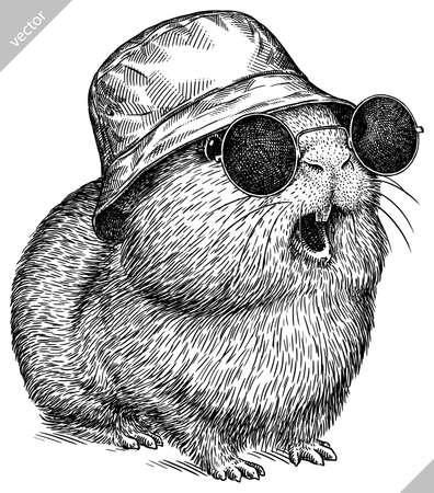 black and white engrave isolated guinea pig vector illustrationのイラスト素材