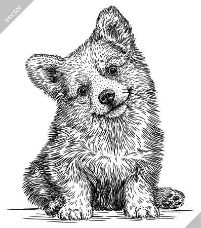 black and white engrave isolated corgi vector illustrationのイラスト素材