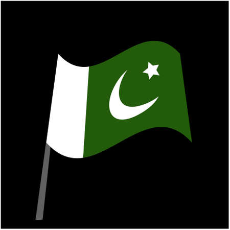 pakistan flag icon vector. Pakistan national flag.のイラスト素材