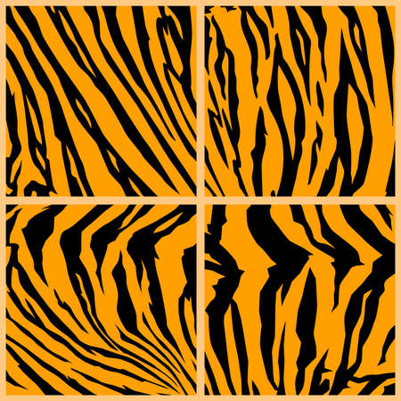 Collection with tiger skin pattern and texture, vector illustration and flat design.のイラスト素材