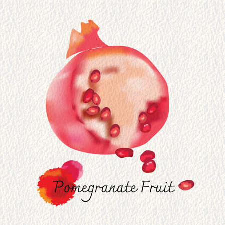 Pomegranate fruit with watercolor digital painting on paper texture, vector illustration and design.のイラスト素材