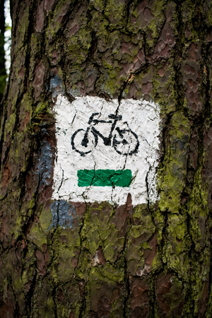 White green painted bicycle sign on tree in forestの写真素材