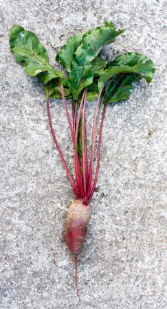Fresh beetroot with leaves on a concrete backgroundの写真素材