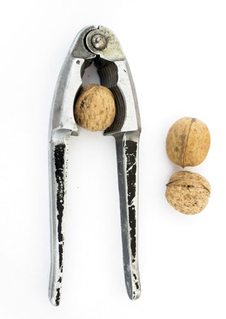 Old nut cracker isolated on white background with nuts