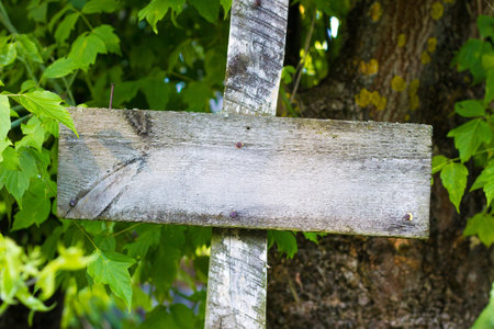 empty wooden board on pole in country on green trees backgroundの写真素材