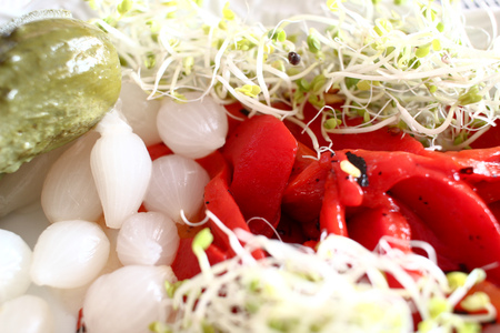 pickled garlic, cucumbers, red pepper and fresh shoots close upの写真素材