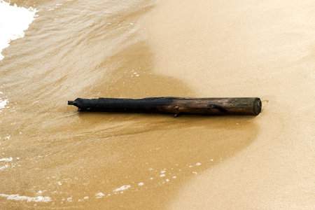 Wooden log on empty coast on a beach, Baltic Sea, Poland