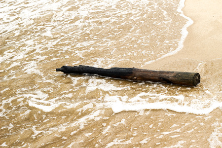 Wooden log on empty coast on a beach, Baltic Sea, Polandの写真素材