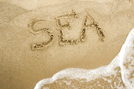 Nice, pleasant and simple sunny summer composition on holidays. Happy relaxing vacations. Text words...