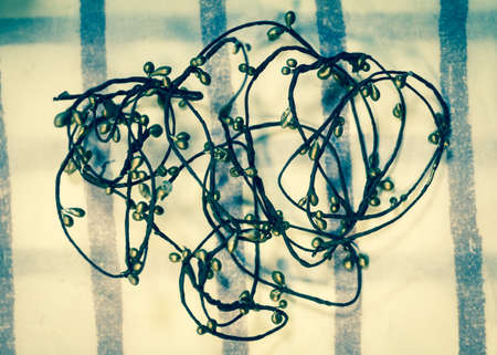 Some decorative steel line in a flower shopの写真素材