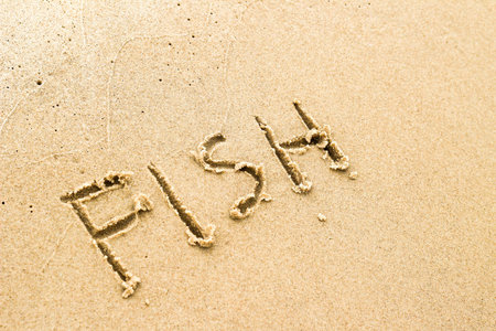 Nice, pleasant and simple sunny summer composition on holidays. Happy relaxing vacations. Text words on wet sand on beach, concept of fishの写真素材