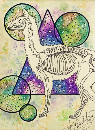 Hand drawn painting of a lama skeleton and surreal vision of space, shapesの写真素材