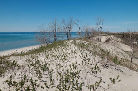 sand dunes at sand banks provincial parkの写真素材