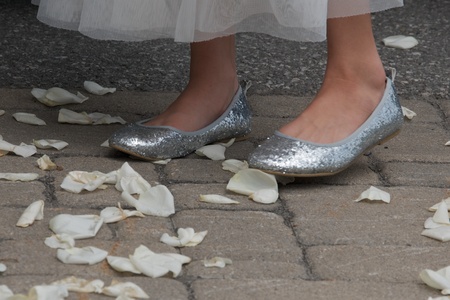 petals and princess shoesの写真素材