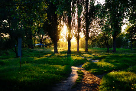 pathway to sunsetの写真素材