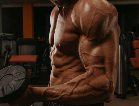 A close up shot of a torso of a bodybuilder who is doing bicep curls in a gym. A photo of a part of a muscular man during a workout.の写真素材