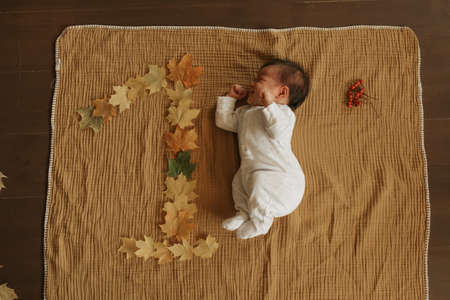 An infant is lying on a muslin blanket near maple leaves lying in the shape of 1. A cute baby girl in one-piece clothing is stretching celebrating her 1 monthly birthday.の写真素材