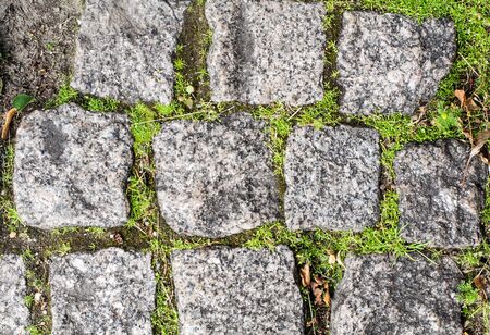 Stone bricks with grass. Background, texture.の写真素材