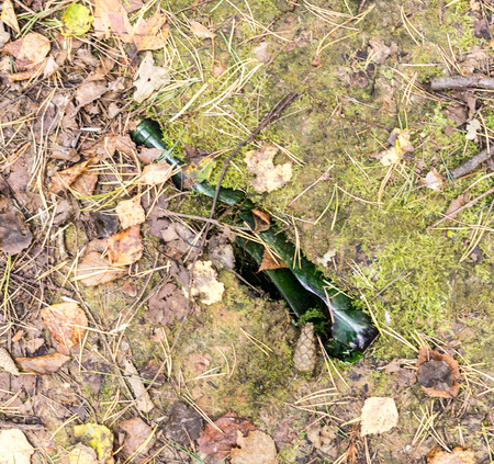 Broken green bottle on the ground in the forest.object, nature, environmental pollution.の写真素材