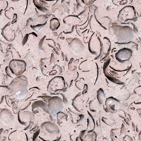 seamless natural coquina shell rock texture. background, geological.の写真素材